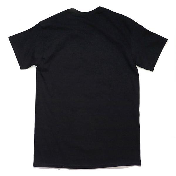 アイス・キューブ【Ice Cube】AMERIKKKA'S MOST WANTED TEE Tシャツ