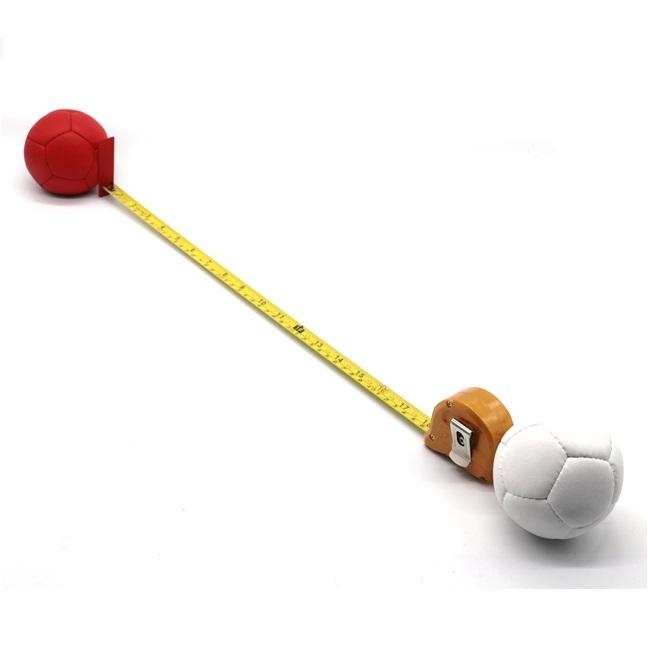 【審判用具付き】はじめてのボッチャセット ボッチャ ボール セット キャリパー パドル　メジャ- 公式規格品