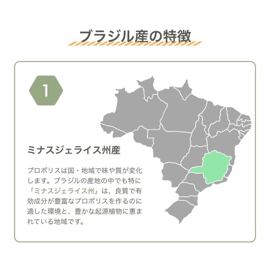 柳韓堂 30年熟成 天然グリーンプロポリス 30ml |  | 05