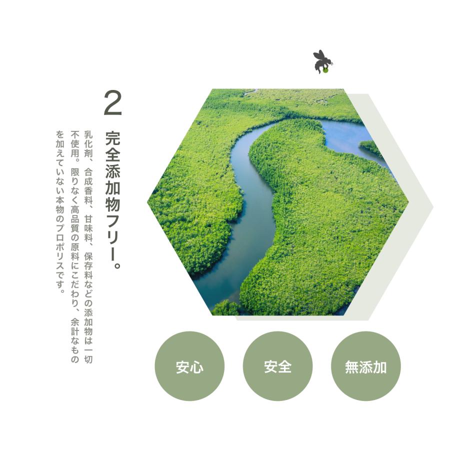 柳韓堂 30年熟成 天然グリーンプロポリス 30ml |  | 04