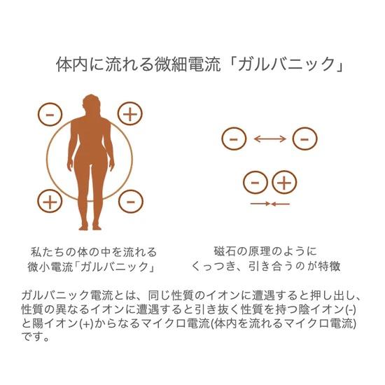 【日本独占販売中！】VIVECA　リボーンガルバニックデバイス　EMS＆ガルバニック＆LED EMS