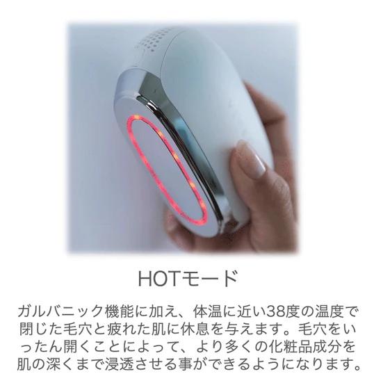 日本独占販売中！】VIVECA リボーンガルバニックデバイス EMS＆