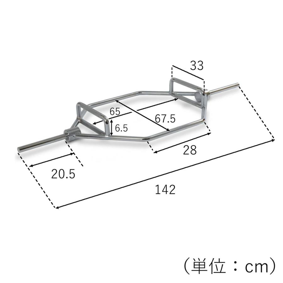 BODYDESIGN（ボディデザイン）レギュラーHEXバー/デッドリフト