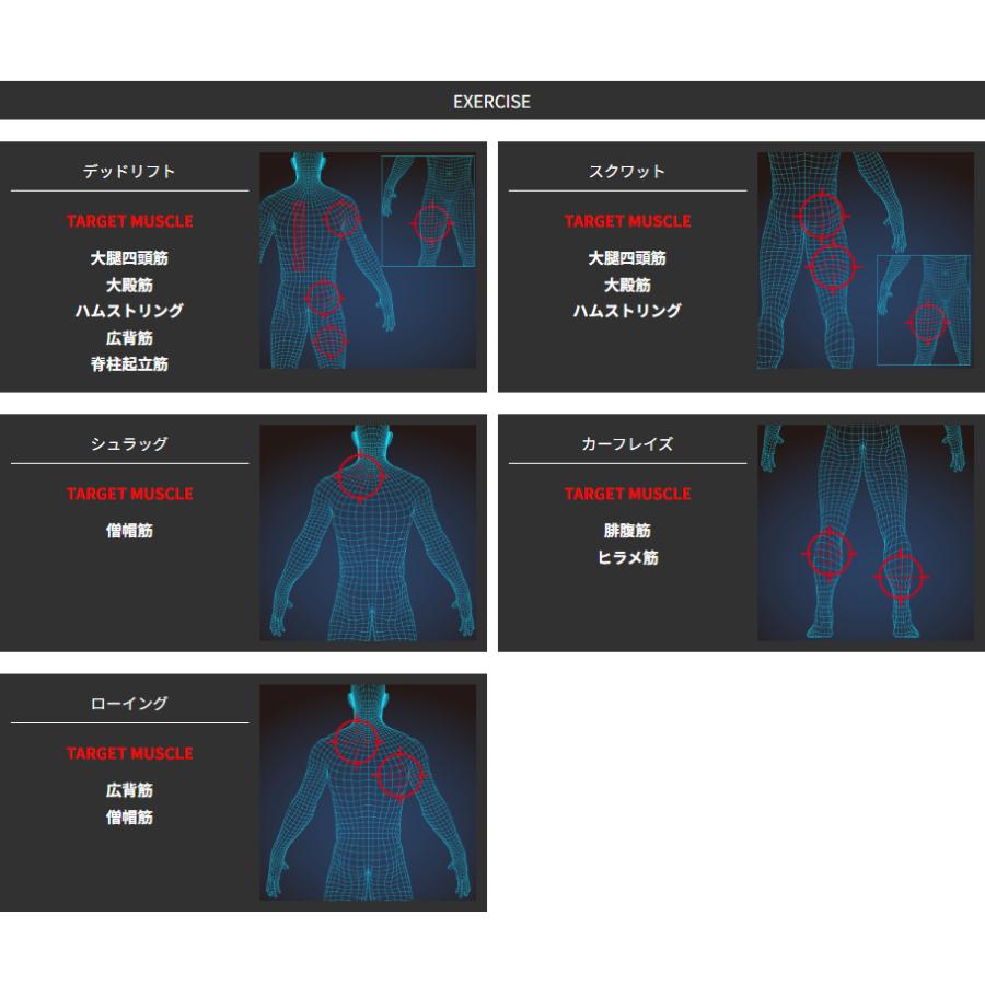 BODYDESIGN（ボディデザイン）レギュラーHEXバー/デッドリフト