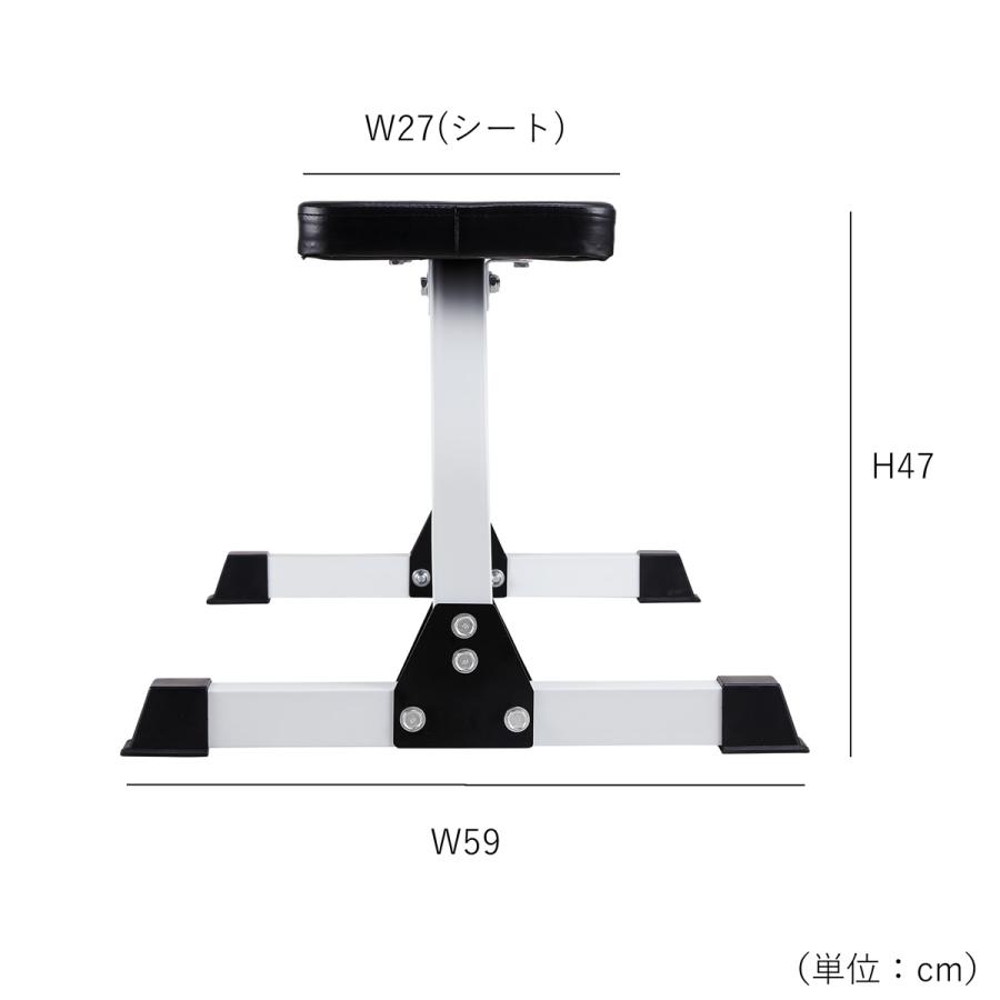 フラットベンチDX │ ダンベル ダンベルカール 筋トレ ウエイト