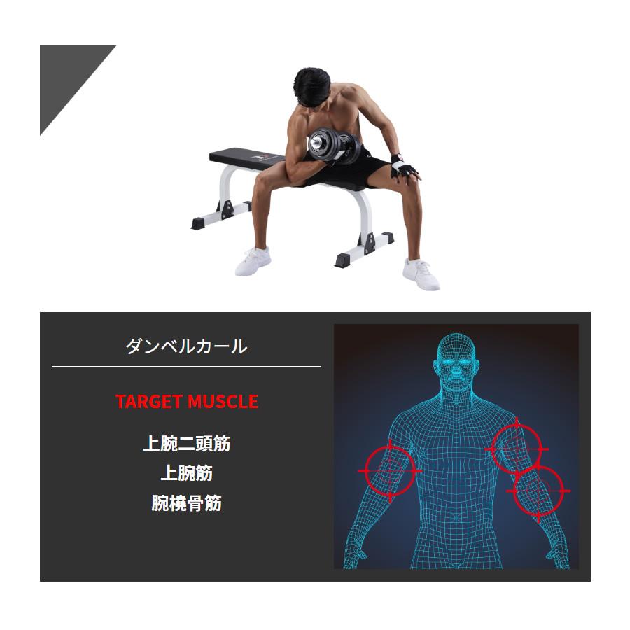 フラットベンチDX │ ダンベル ダンベルカール 筋トレ ウエイト フラットベンチDX │ ダンベル ダンベルカール 筋トレ ウエイト