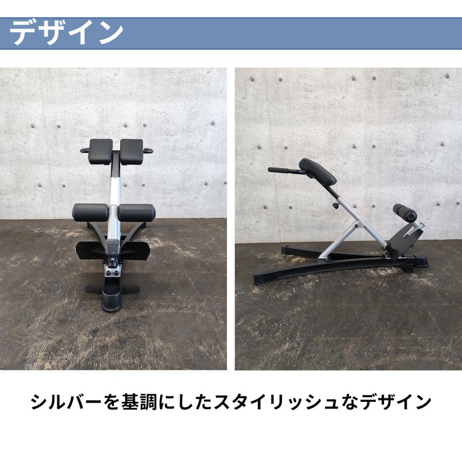 バックエクステンションベンチ ローマンチェア バックエクスベンチ トレーニングベンチ 背筋 腹筋 バックエクススタンドWOT IROTECPRO アイロテックプロ MB-BX