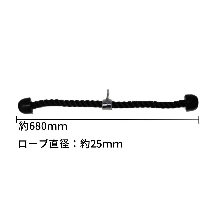 ラットプルダウンアタッチメント10個セット バイセップトライセップ