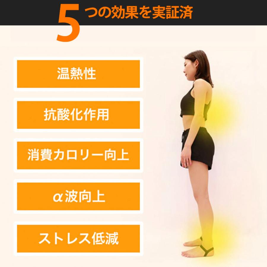 アンクルバンド Aband Ankle Band 美姿勢サポート 腰痛改善 肩こり改善 アライメント 扁平足 即日発送 膝の痛み シリコン 送料無料