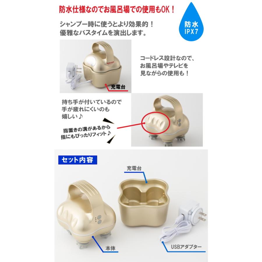 アデランス スパニストプロ 頭皮+フェイスケア 家庭用 アデランス スパニストプロ 頭皮+フェイスケア 家庭用