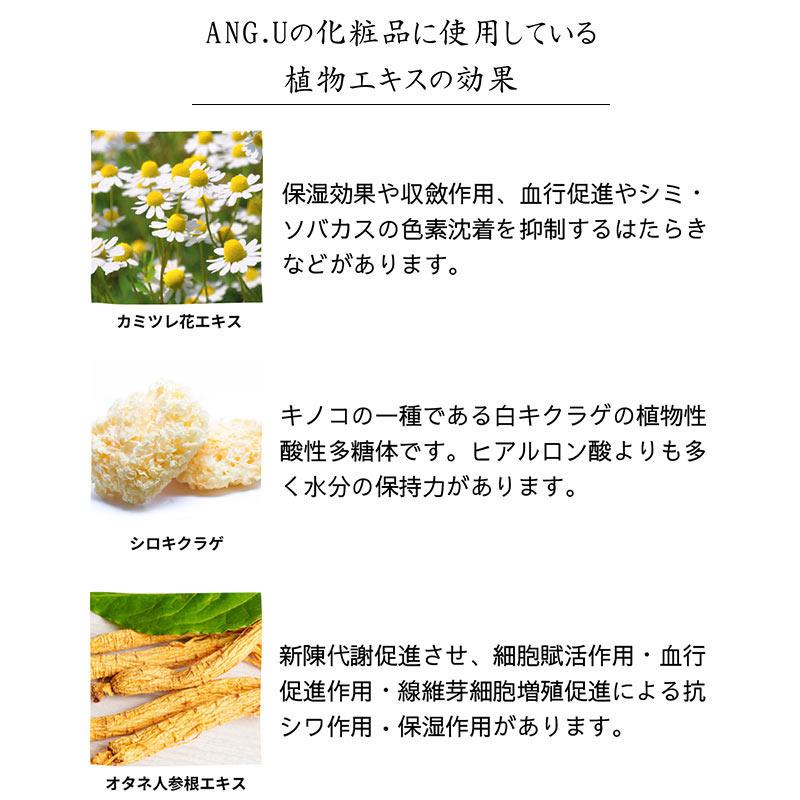 ANG.U （アンジ―ユー）リフレッシュ モイスト ミストローション（化粧水）REFRESH MOIST MIST LOTION 高橋恵子プロデュース モリンガオイル モリンガエキス｜bodyandsoul｜05