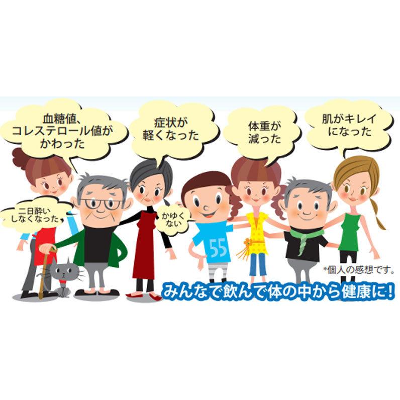 ファミリーカーボンキュア 90粒×2個セット 食べる活性炭 美肌