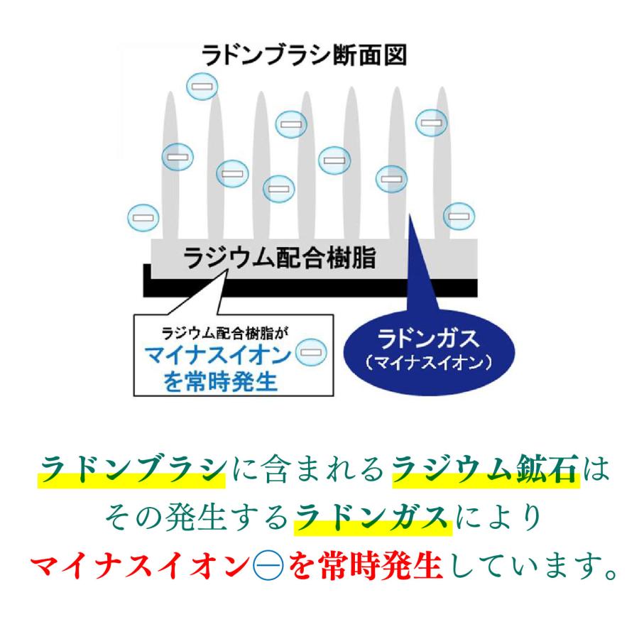 エナジーラドンブラシ 楽天市場】エナジーラドンブラシ マイナスイオン シャンプー
