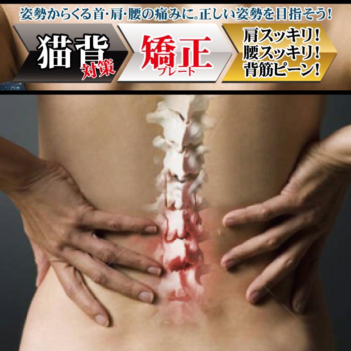 Hydas 背中サポートベルト】ドイツ 矯正ベルト 姿勢 矯正 背筋 猫背