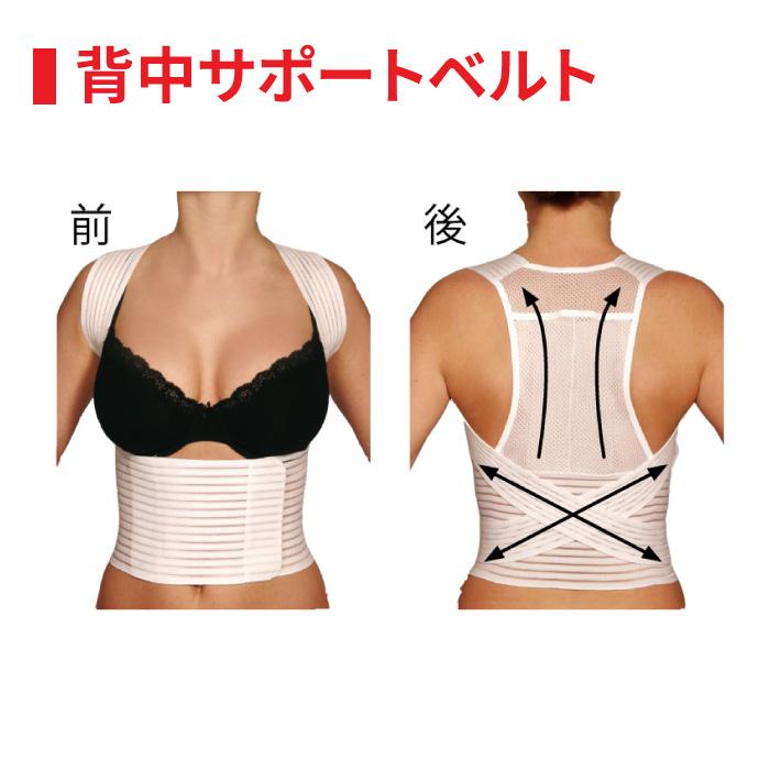 Hydas 背中サポートベルト】ドイツ 矯正ベルト 姿勢 矯正 背筋 猫背