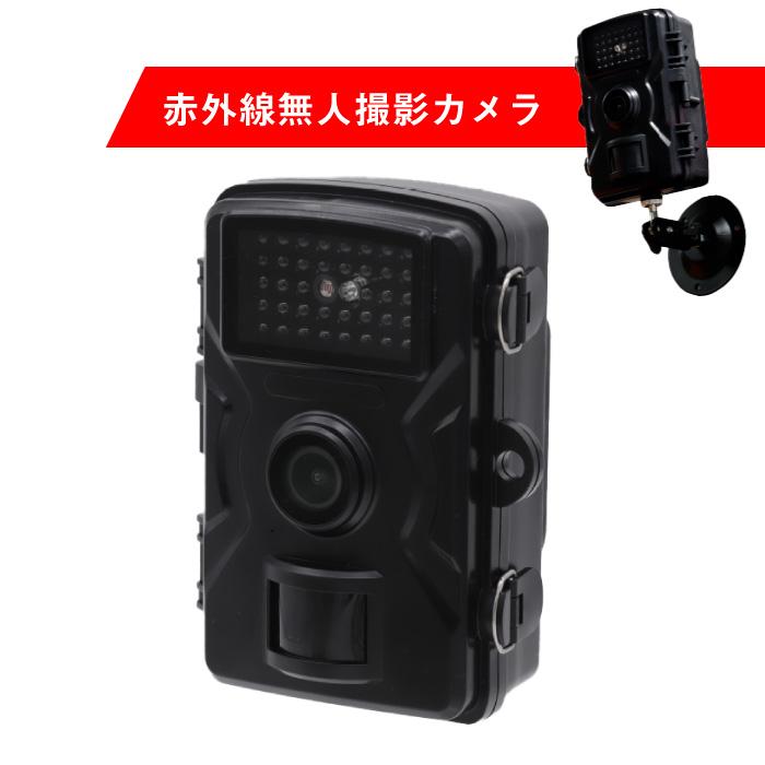 ファミラ 赤外線無人撮影カメラ SDカード付き 防犯カメラ 赤外線 ファミラ 赤外線無人撮影カメラ SDカード付き 防犯カメラ 赤外線