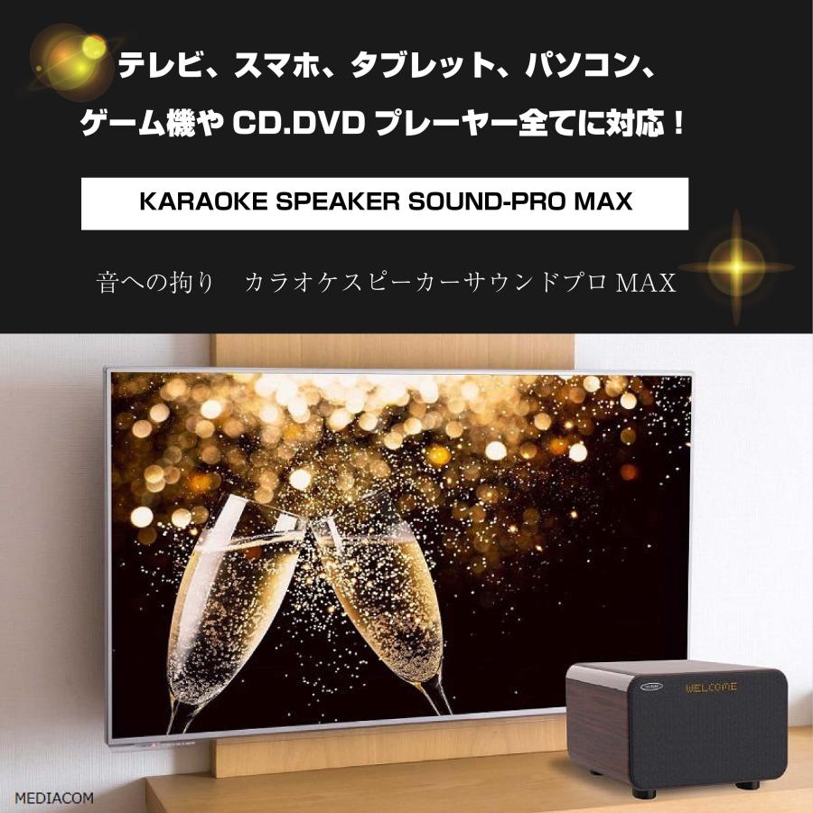 サウンドプロMAX カラオケセット 家庭用 サウンドプロマックス TKMI-008 自宅 カラオケスピーカー ワイヤレス カラオケマイク 家庭用カラオケ カラオケ機器｜bodyandsoul｜02