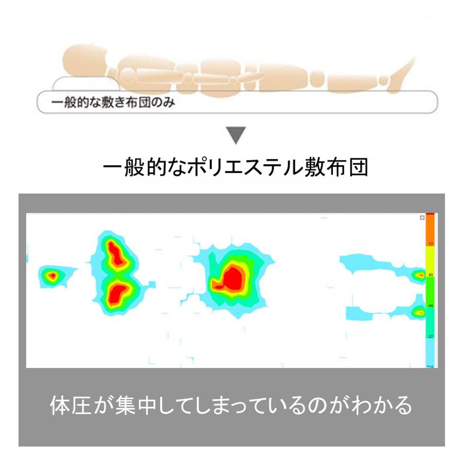 TEIJIN（テイジン） 防ダニ快適トッパー シングル TEIJIN 100×205cm TV