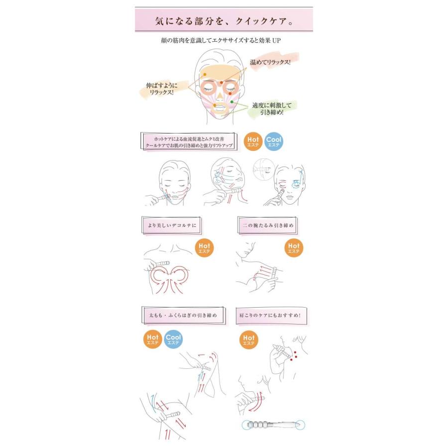 テラローラーミュー 美顔器 美波動 美容 ローラー テラローラーμ