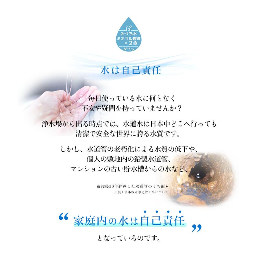 水質検査キット 水検査キット おうち水ミネラル検査2ダブル 水質検査キット 水検査キット おうち水ミネラル検査2ダブル