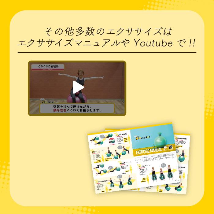 ビーバルーン BeeBalloon 65cm　突起のついたバランスボール 安全 ながら運動 ダイエット シェイプアップ スクワット 内転筋 プレゼント 実用的 | ツインズ | 16
