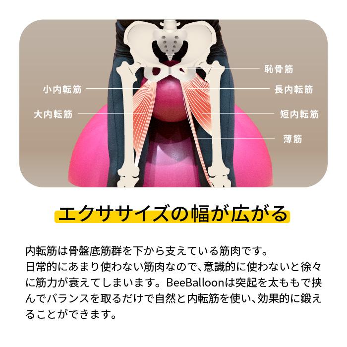 ビーバルーン BeeBalloon 65cm　突起のついたバランスボール 安全 ながら運動 ダイエット シェイプアップ スクワット 内転筋 プレゼント 実用的 | ツインズ | 09