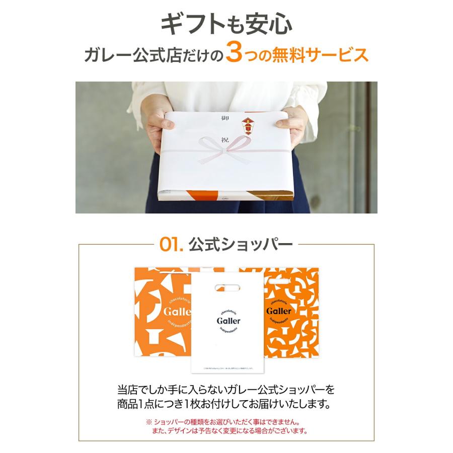 Galler（ガレー） ベルギー王室御用達ブランド チョコクッキー 15枚 5