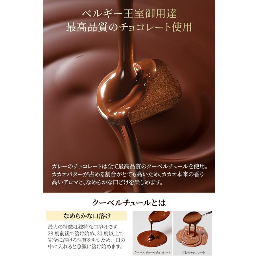 Galler（ガレー） ベルギー王室御用達ブランド チョコクッキー 15枚x5