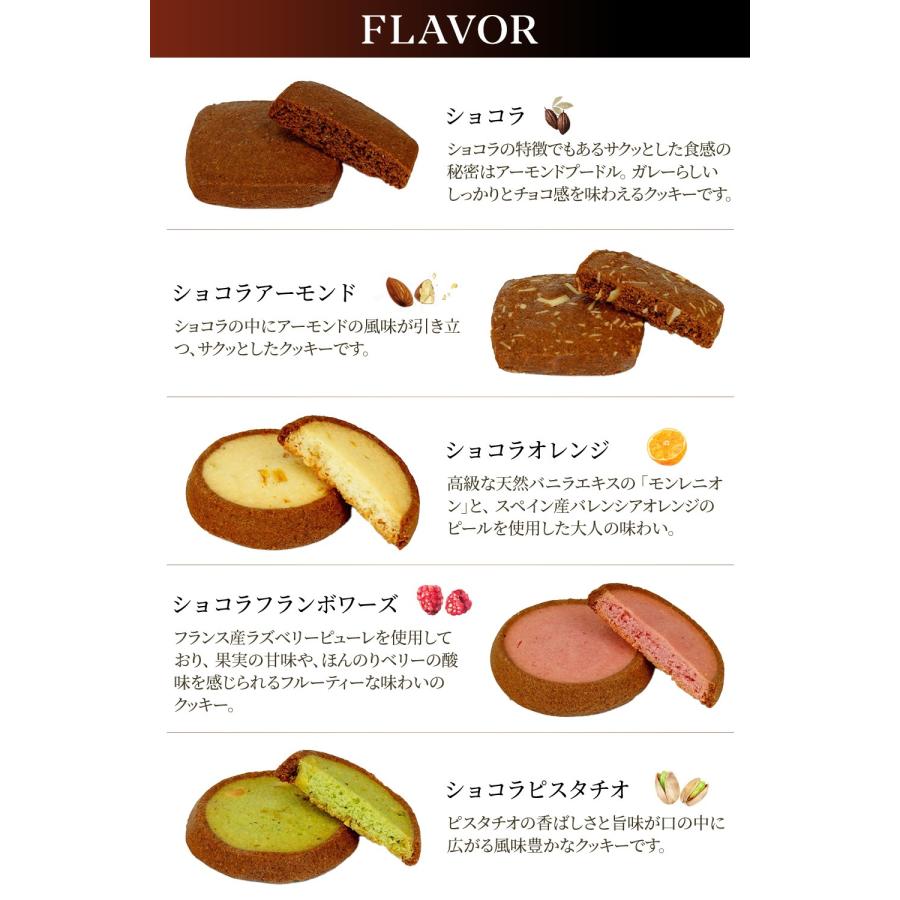 Galler（ガレー） ベルギー王室御用達ブランド チョコクッキー 15枚 5