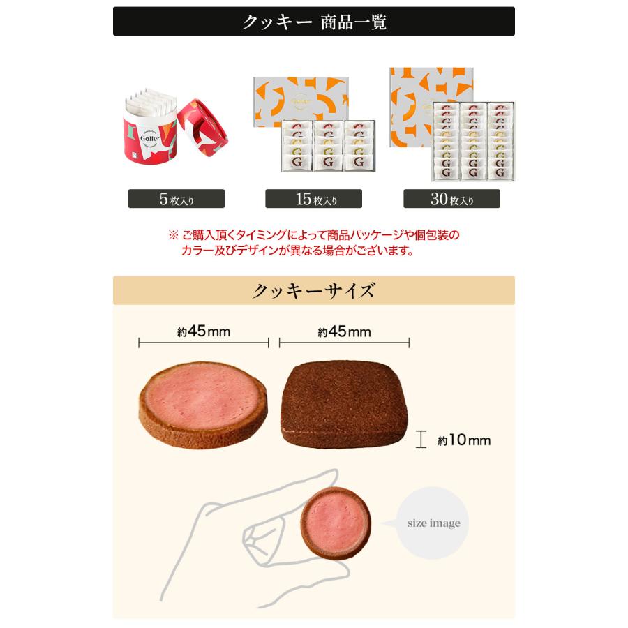 Galler プチギフト お菓子 ガレー チョコレート クッキー 5枚入 2025年 