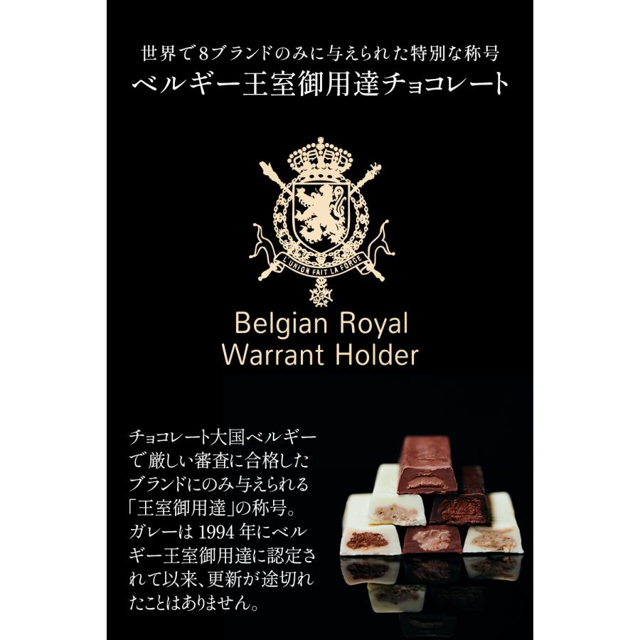 Galler プチギフト ガレー チョコレート ナノバー 10個入 2025