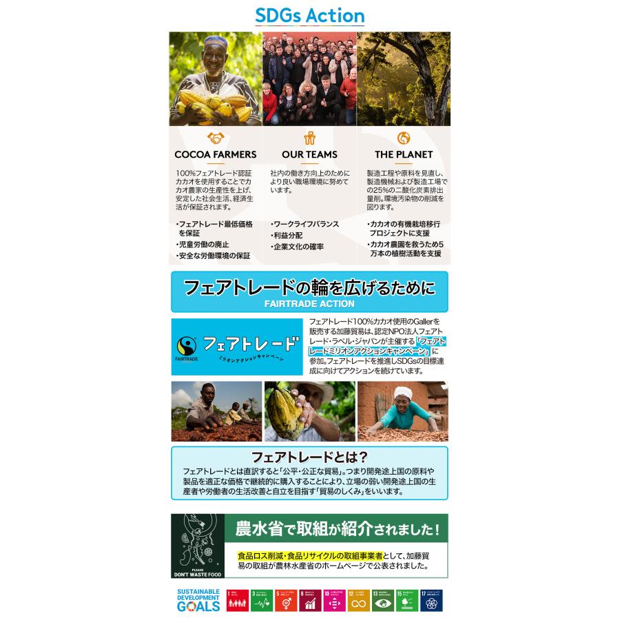 お年賀 2026 お菓子 チョコレート ガレー ナノバー10個入 バレンタイン 義理 ばらまき プチギフト プレゼント スイーツ 個包装 高級 人気 おしゃれ 手土産 お礼 | Galler | 16