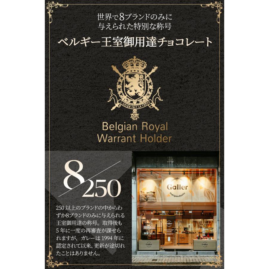 バレンタイン 2026 チョコレート ガレー ナノバー10個入 個包装 小分け ばらまき 大量 義理 会社 お菓子 高級 おしゃれ トリュフ プチギフト プレゼント | Galler | 05