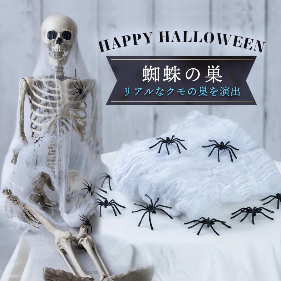 ハロウィン 蜘蛛の巣 ハロウィン コスプレ 小物 変装 衣装 飾り物 飾り付け クモ 蜘蛛 ハロウィン 雑貨 インテリア ホラー お化け屋敷 ハロウィン用品 コ Acgs 0222x コスプレ ロリータ専門店bodyline 通販 Yahoo ショッピング