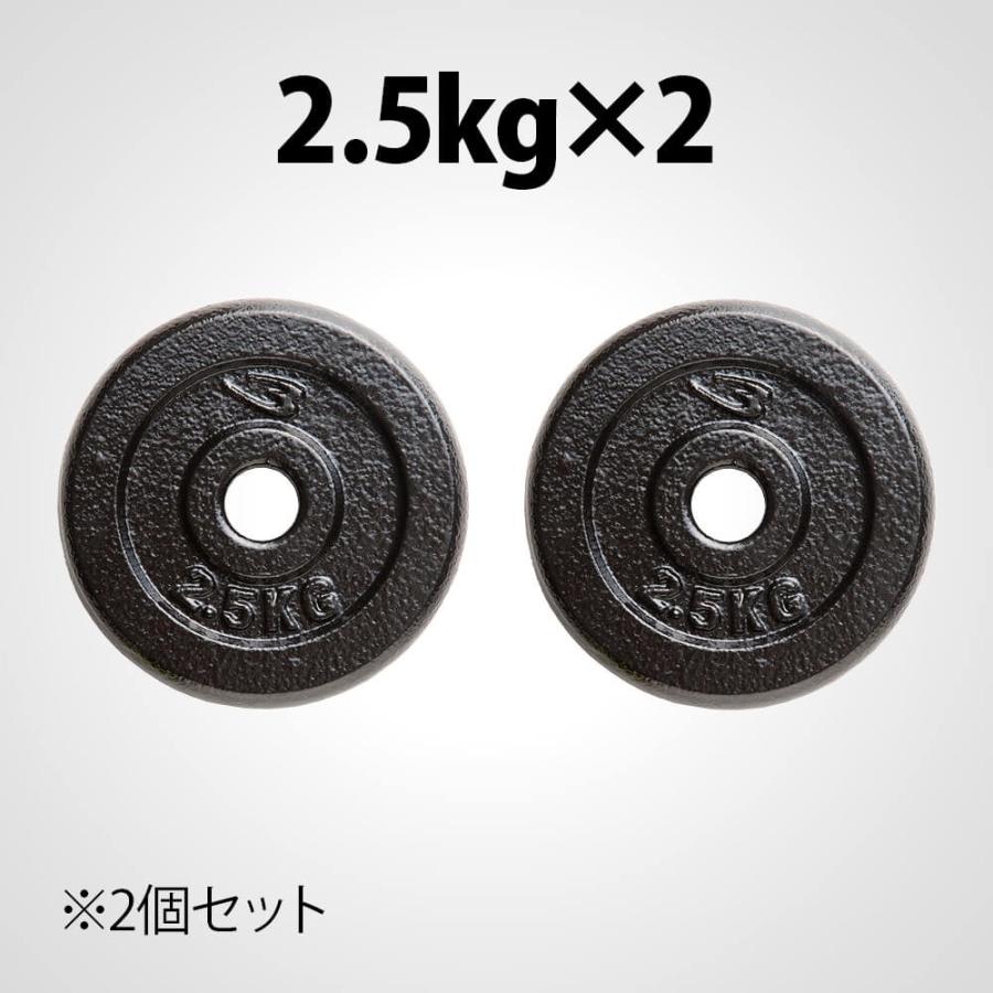 BODYMAKER ハンマートーンプレート2.5kg 2個セット ボディ BODYMAKER ハンマートーンプレート2.5kg 2個セット ボディ
