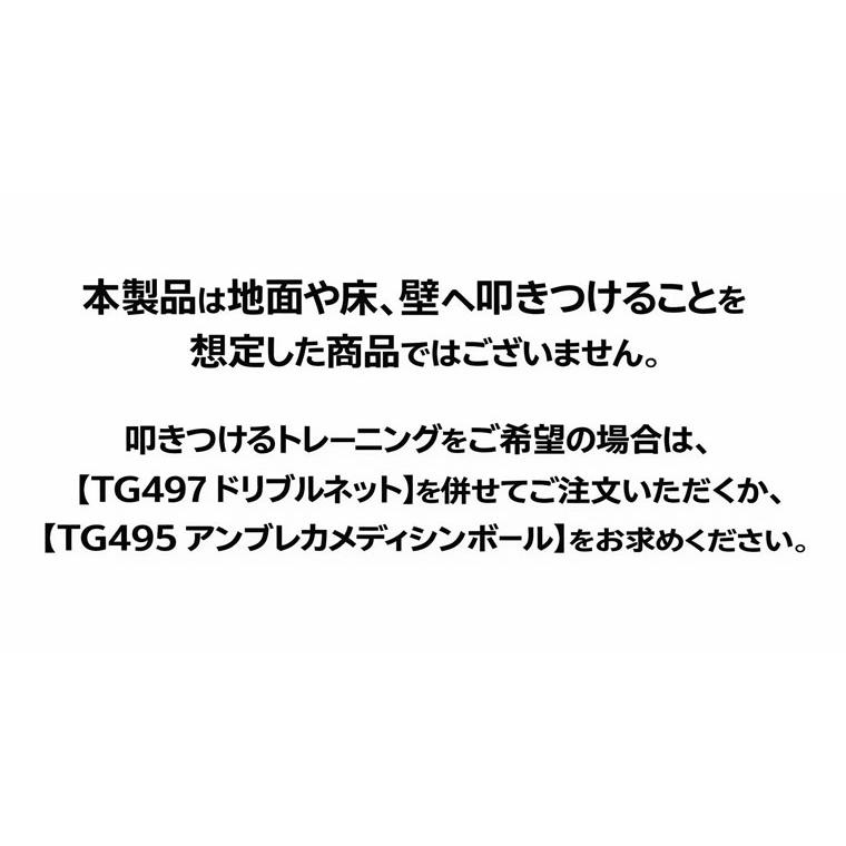 メディシンボール 3kg BODYMAKER ボディメーカー 腹筋 インナーマッスル バスケットボール ボールトレーニング ボクシング 体幹トレーニング 【90日保証】 | BODYMAKER | 11