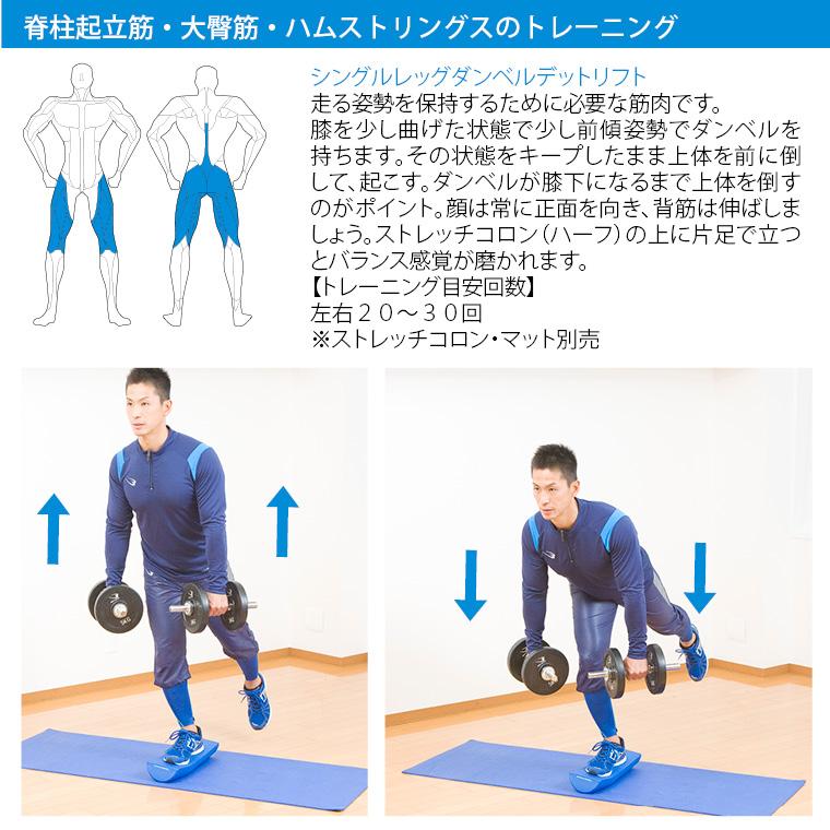 【90日保証】可変式ダンベル 36kg 1個 BODYMAKE ボディメーカー ブロックダンベル 可変式 ダンベル アジャスタブルダンベル 可変ダンベル 筋トレ グッズ｜bodymaker｜13