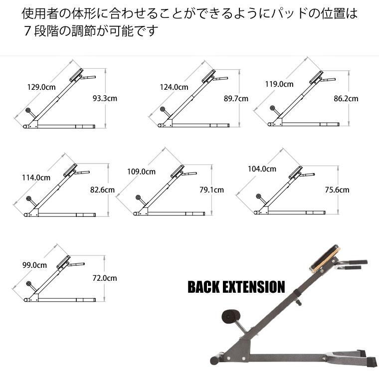 BODYMAKER（ボディメーカー） バックエクステンション2 BODYMAKER