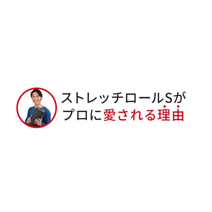 4/27-29エントリー+10% フォームローラー ドクターエア ストレッチロールS SR-002 ストレッチポール 電動 ミニ ハーフ ショート｜bodyplus｜05