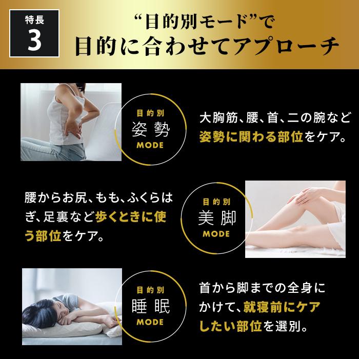 ドクターエア（DOCTORAIR） ダブルヘッドガン REG-05 ライザップ RIZAP 