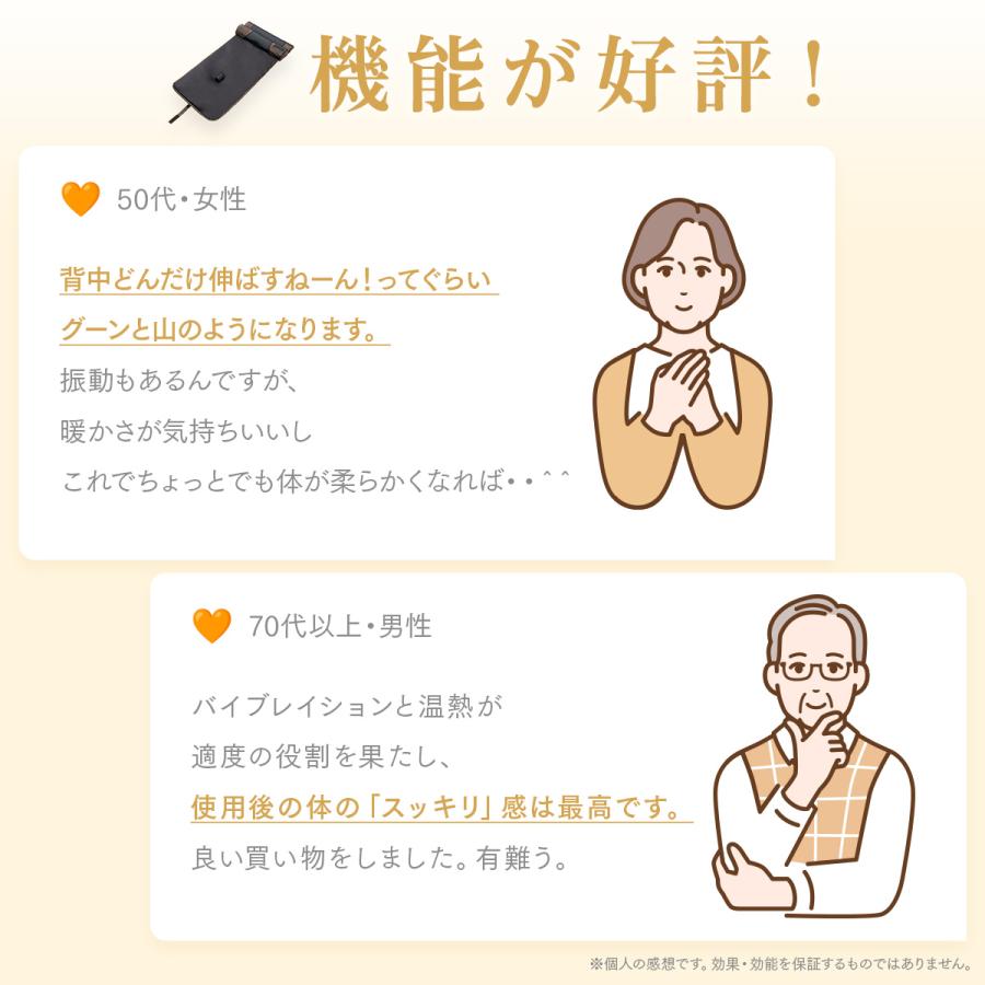 ドクターエア 3Dエアストレッチマット EAM-01 ストレッチ ストレッチグッズ 背中 腰 健康グッズ | ドクターエア | 14