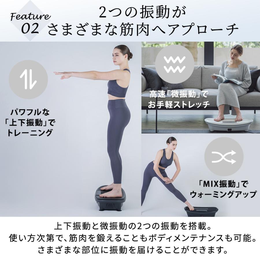 ドクターエア（DOCTORAIR） ステッパー 3Dスーパーブレードスマート2