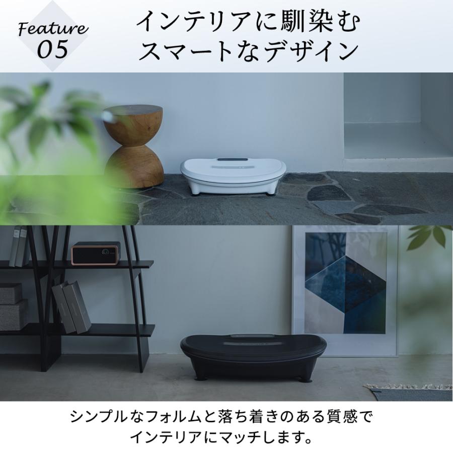 ステッパー ドクターエア 3Dスーパーブレードスマート2 ESB-08 静音 ダイエット ブルブル振動マシン 振動マシン 母の日 爆買 | ドクターエア | 12