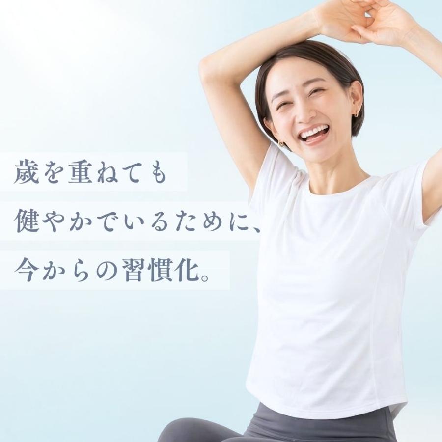 ステッパー ドクターエア ステップエア ツイスト EST-01 ツイストステッパー フットステッパー 屋内 運動 健康 エクササイズ ひねり 母の日 爆買 | ドクターエア | 16