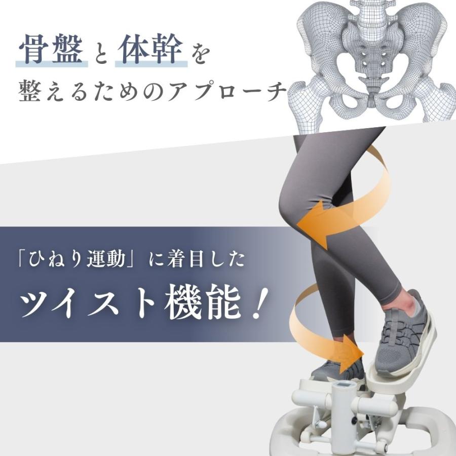ステッパー ドクターエア ステップエア ツイスト EST-01 ツイストステッパー フットステッパー 屋内 運動 健康 エクササイズ ひねり 母の日 爆買 | ドクターエア | 02