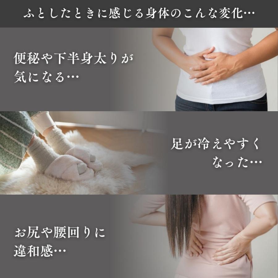 ステッパー ドクターエア ステップエア ツイスト EST-01 ツイストステッパー フットステッパー 屋内 運動 健康 エクササイズ ひねり 母の日 爆買 | ドクターエア | 04