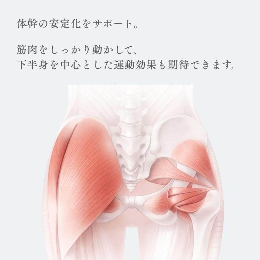 ステッパー ドクターエア ステップエア ツイスト EST-01 ツイストステッパー フットステッパー 屋内 運動 健康 エクササイズ ひねり 母の日 爆買 | ドクターエア | 08