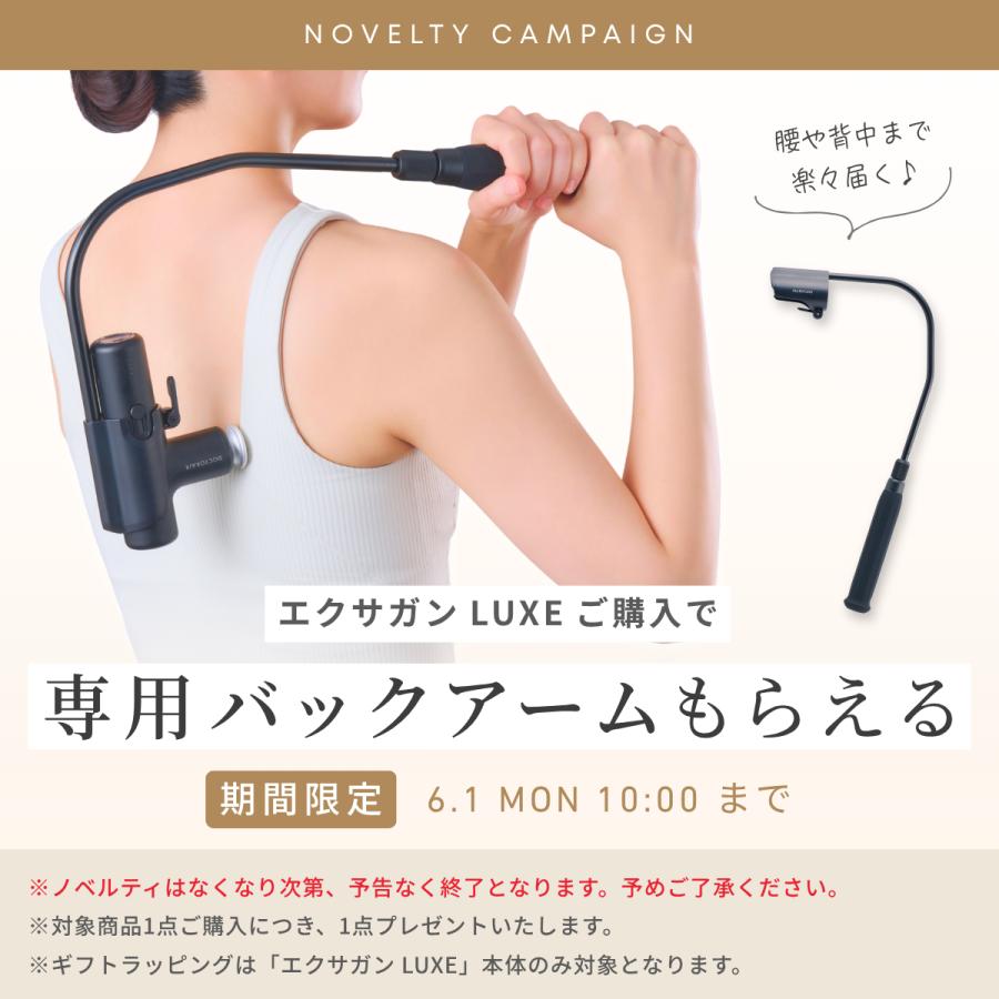 ドクターエア（DOCTORAIR） ハンディガン エクサガン LUXE REG-12 軽量