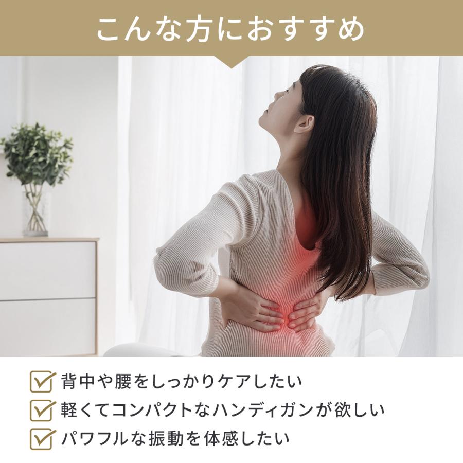 ドクターエア（DOCTORAIR） エクサガン バックアーム REG-12BABK