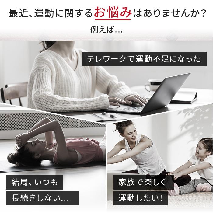 【訳アリのため特別価格】 ステッパー ドクターエア 3Dスーパーブレードスマート SB-003 振動マシン 運動器具 室内 父の日 爆買 | ドクターエア | 10